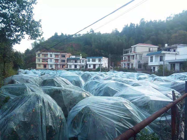 首页- 人生就是博中国官方网站