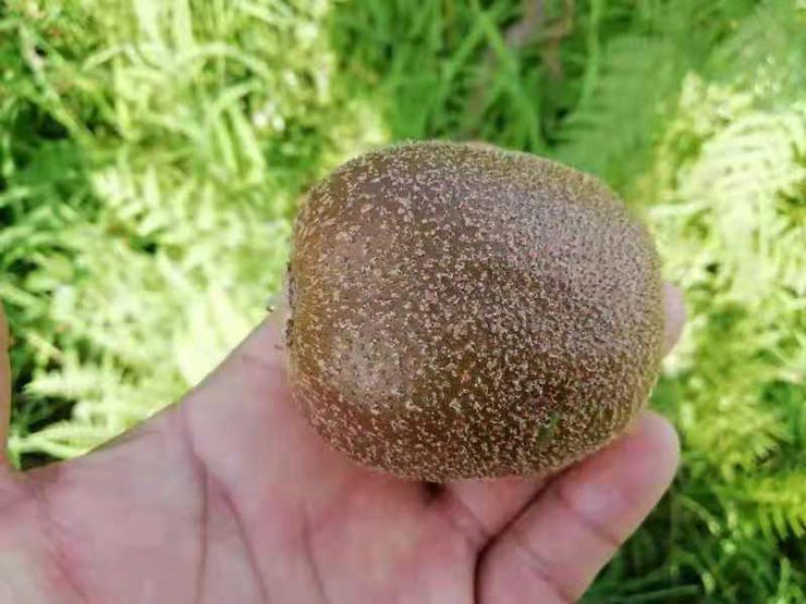 首页- 人生就是博中国官方网站