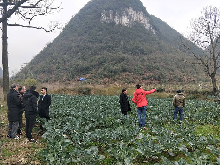 首页- 人生就是博中国官方网站