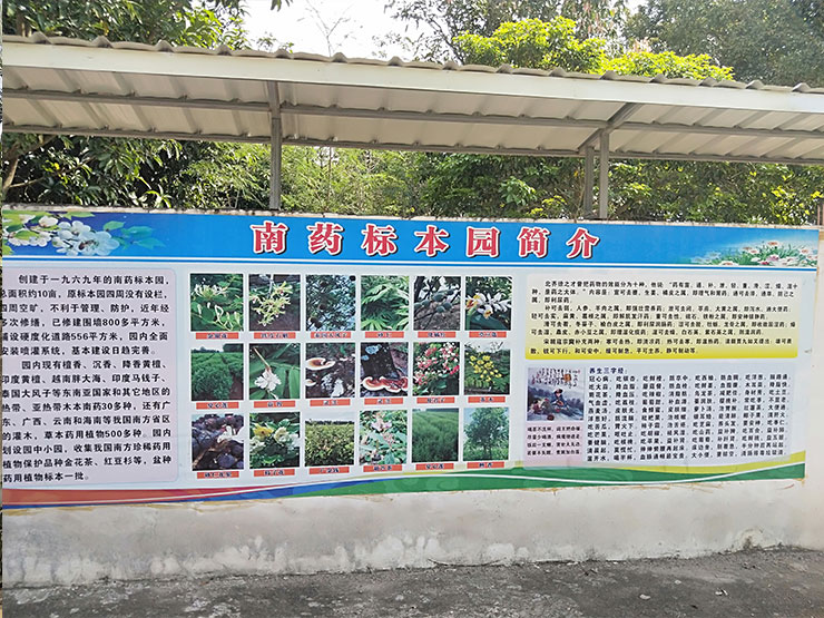 首页- 人生就是博中国官方网站