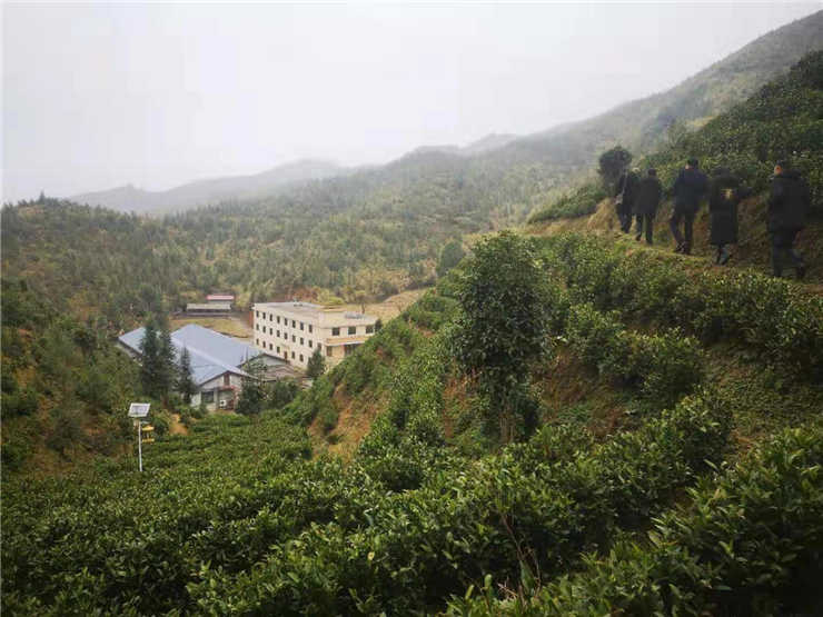 首页- 人生就是博中国官方网站