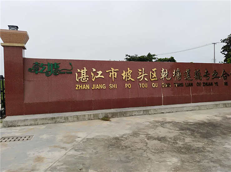 首页- 人生就是博中国官方网站