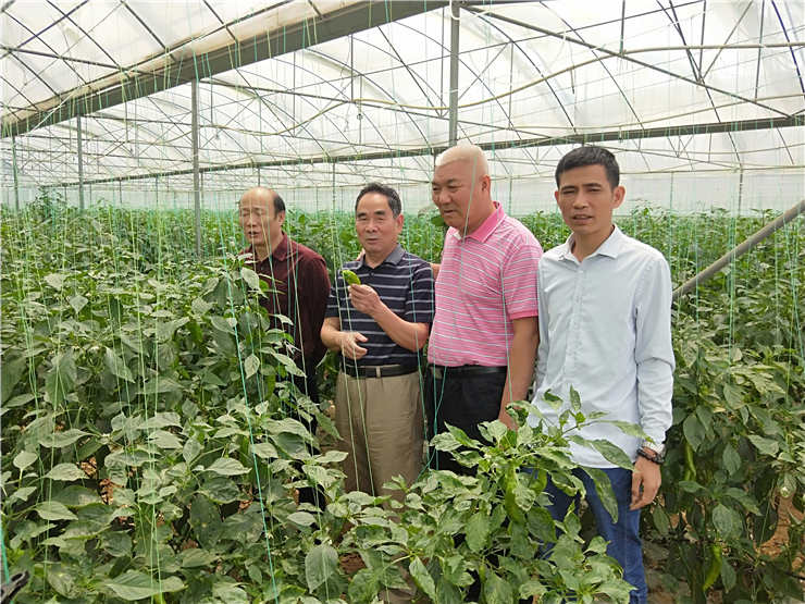 首页- 人生就是博中国官方网站