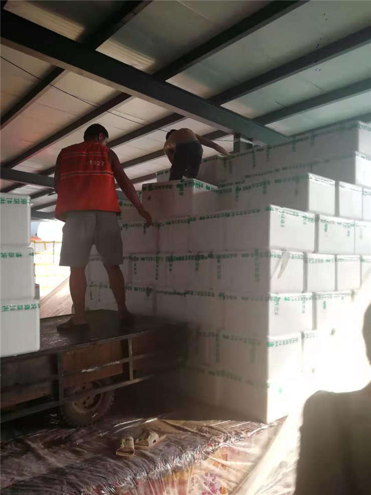 首页- 人生就是博中国官方网站