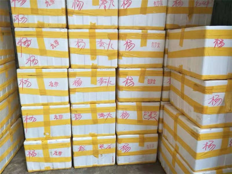 首页- 人生就是博中国官方网站