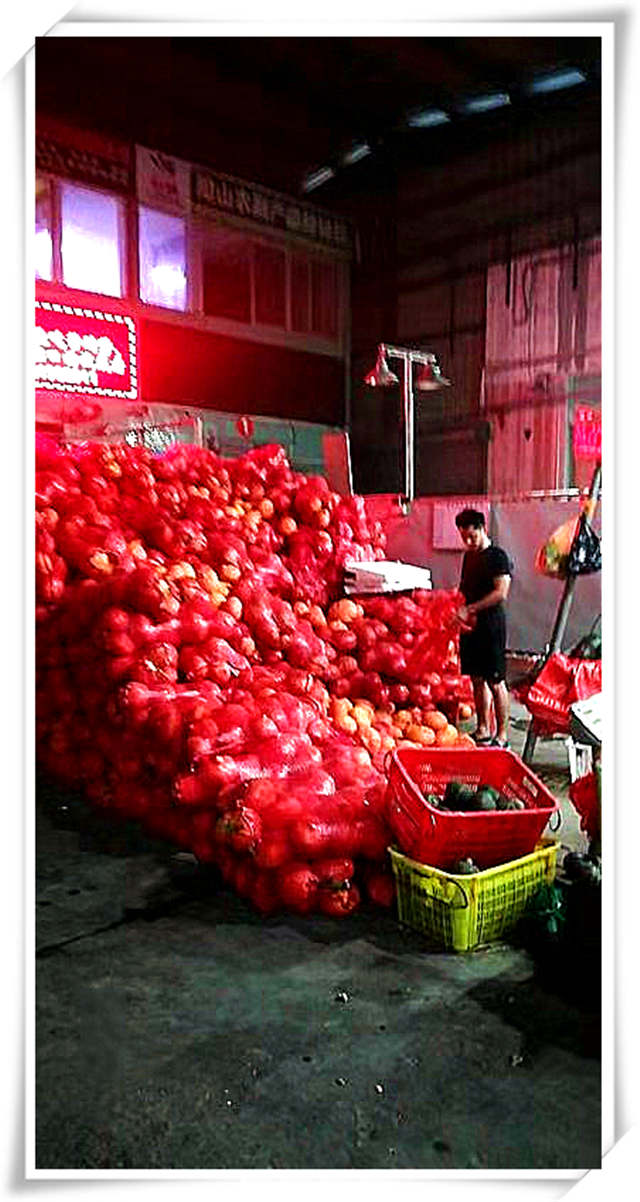 首页- 人生就是博中国官方网站