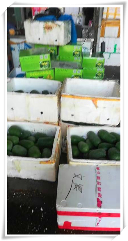 首页- 人生就是博中国官方网站