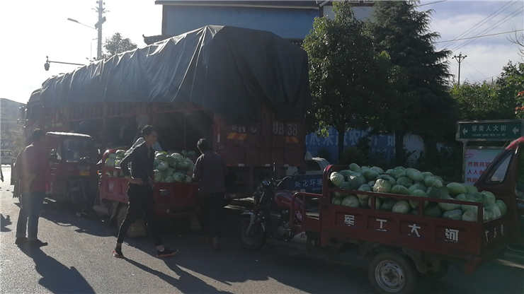 首页- 人生就是博中国官方网站