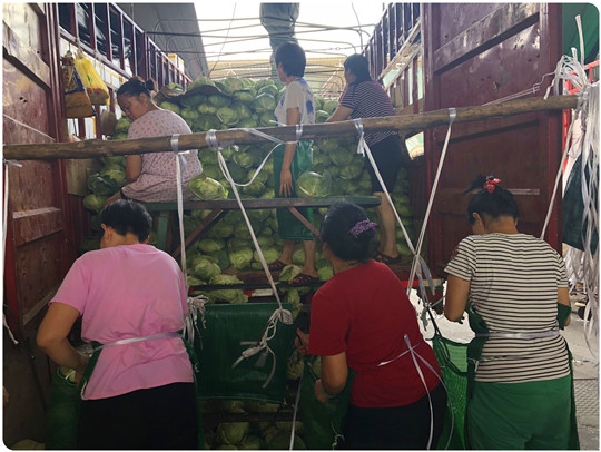 首页- 人生就是博中国官方网站