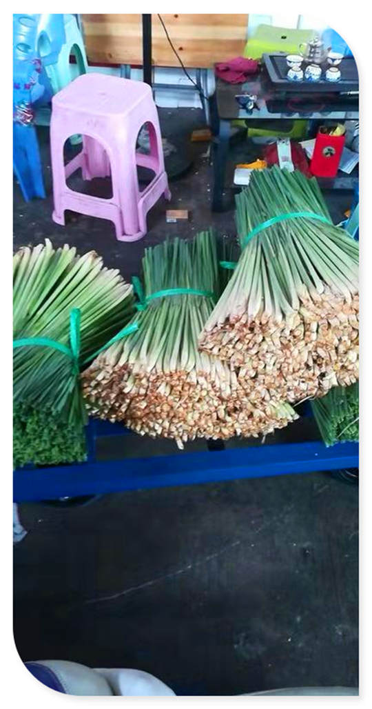 首页- 人生就是博中国官方网站