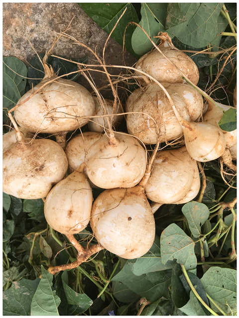 首页- 人生就是博中国官方网站