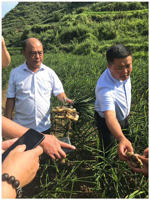 首页- 人生就是博中国官方网站