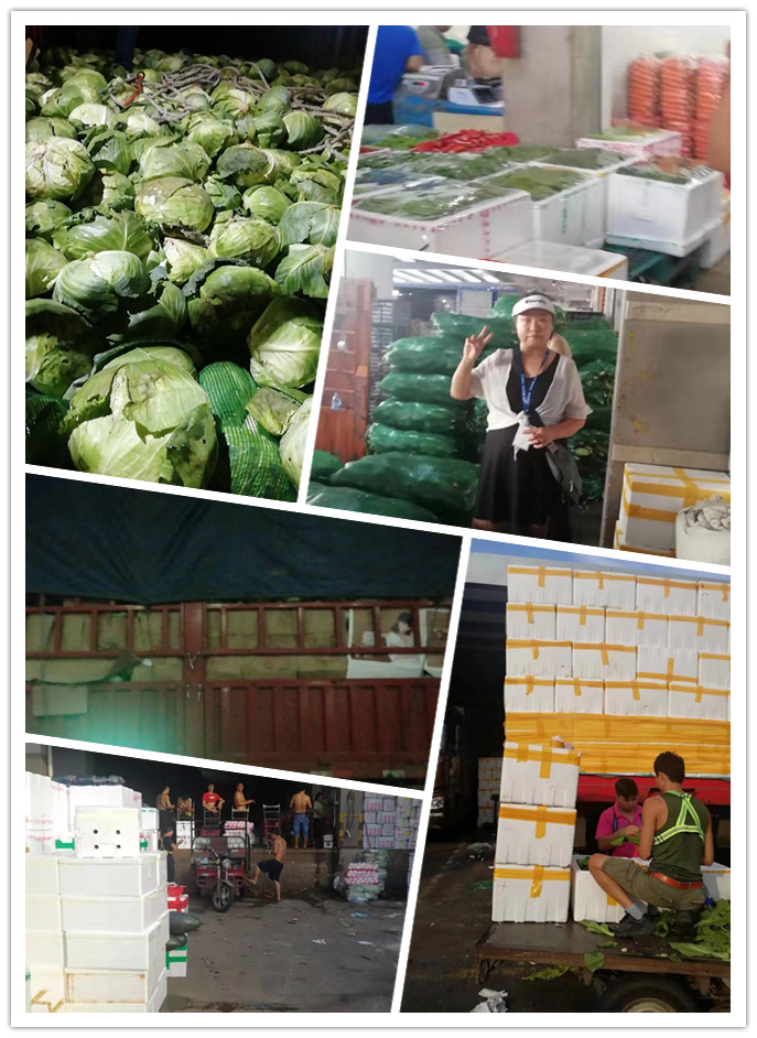 首页- 人生就是博中国官方网站