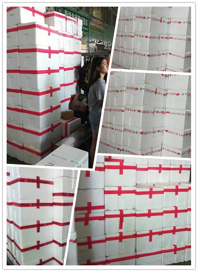 首页- 人生就是博中国官方网站