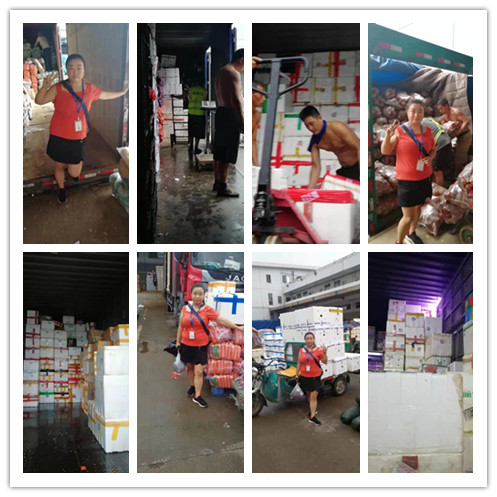 首页- 人生就是博中国官方网站