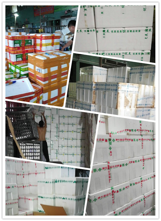 首页- 人生就是博中国官方网站