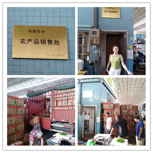 首页- 人生就是博中国官方网站