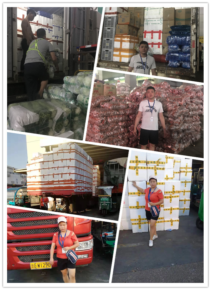 首页- 人生就是博中国官方网站