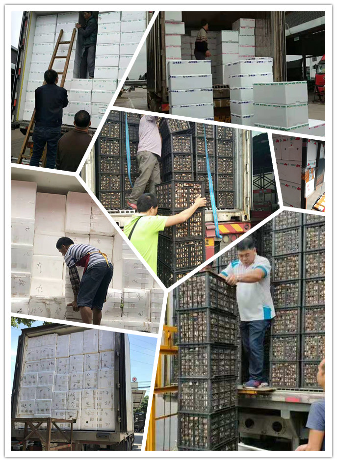 首页- 人生就是博中国官方网站