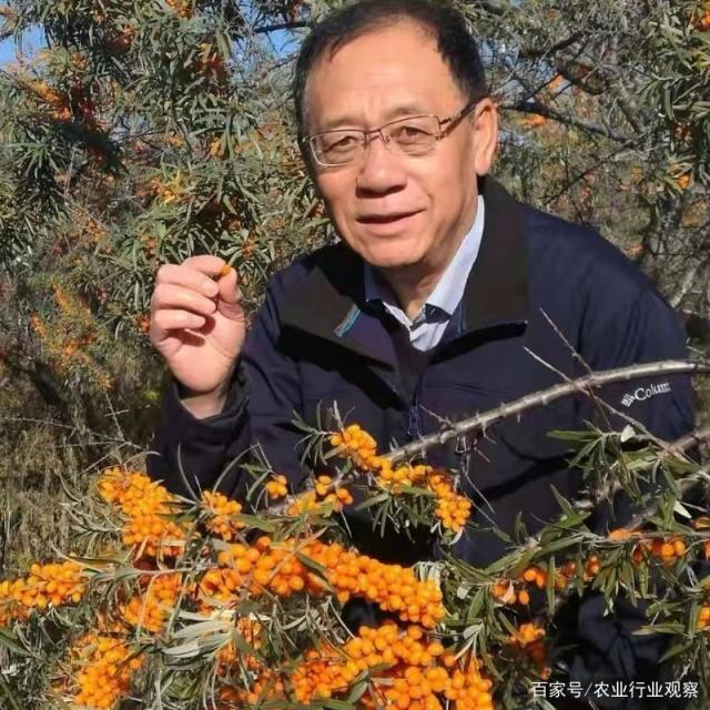 首页- 人生就是博中国官方网站