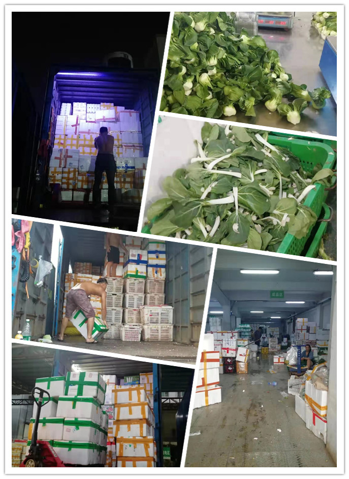 首页- 人生就是博中国官方网站