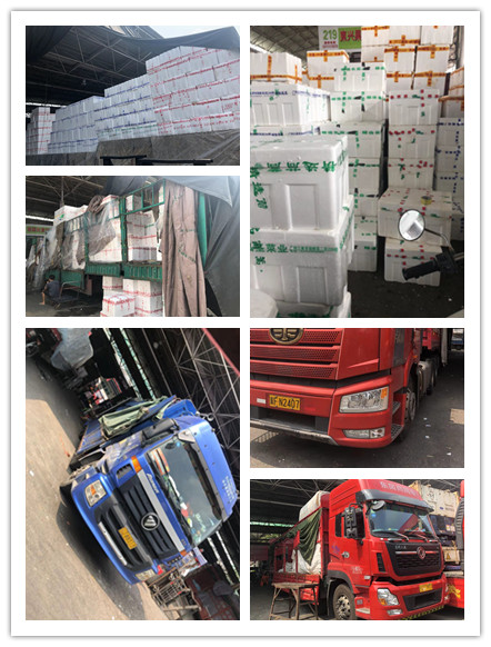 首页- 人生就是博中国官方网站