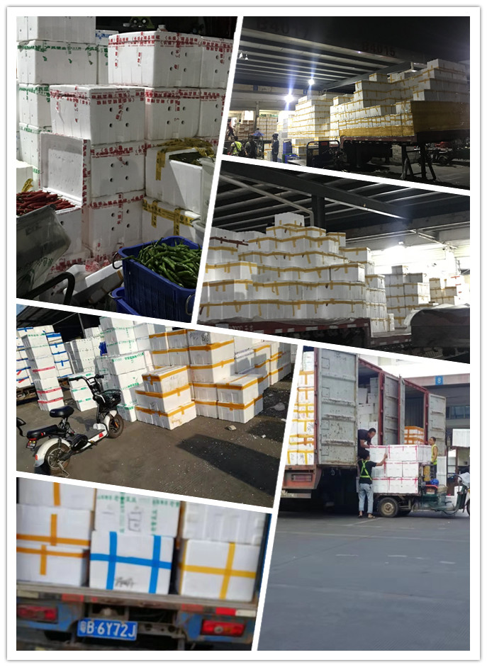 首页- 人生就是博中国官方网站