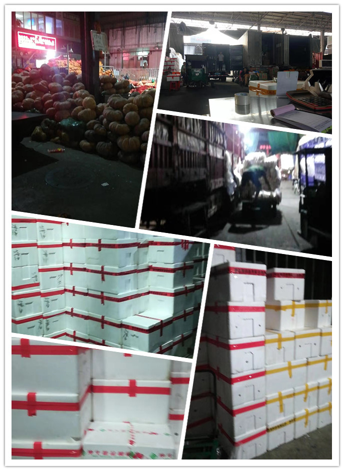 首页- 人生就是博中国官方网站