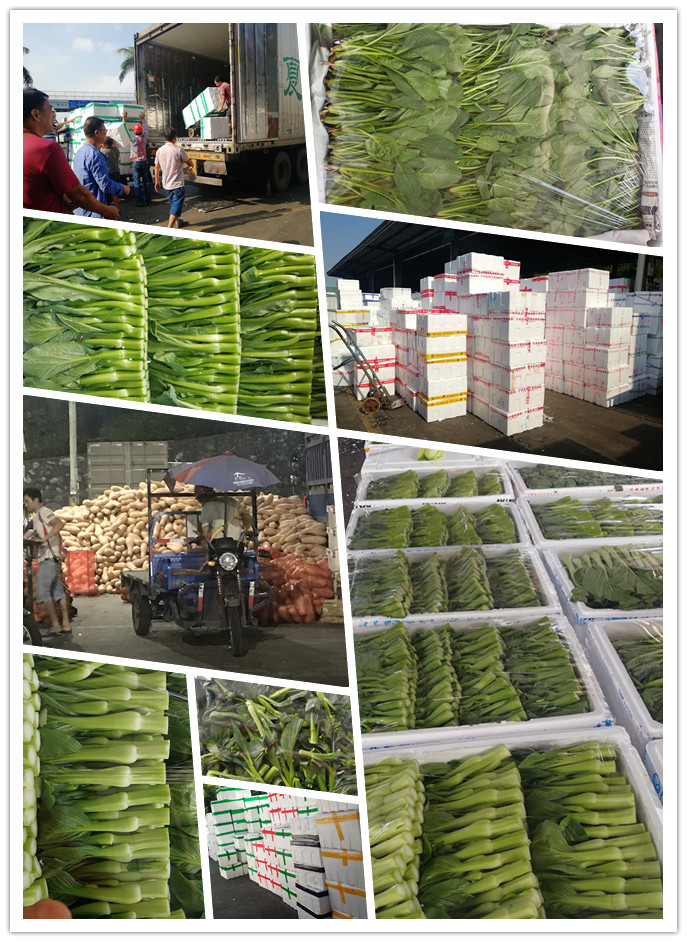 首页- 人生就是博中国官方网站