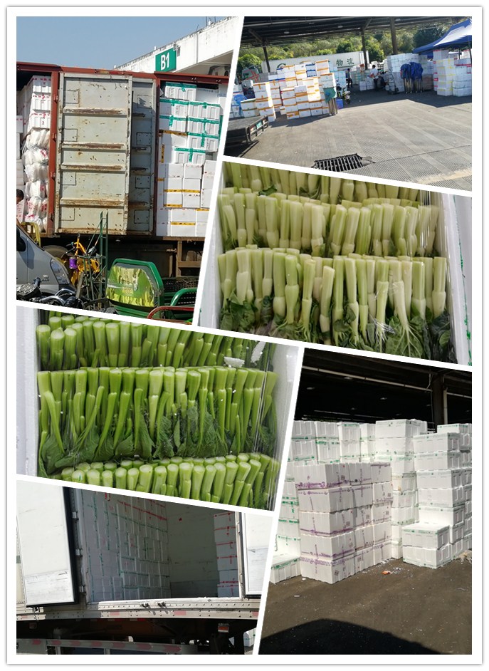 首页- 人生就是博中国官方网站