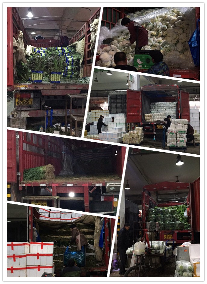 首页- 人生就是博中国官方网站