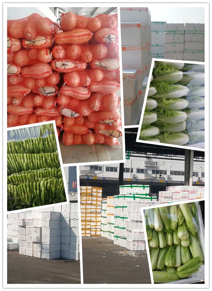 首页- 人生就是博中国官方网站