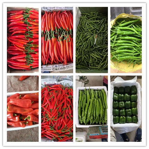 首页- 人生就是博中国官方网站