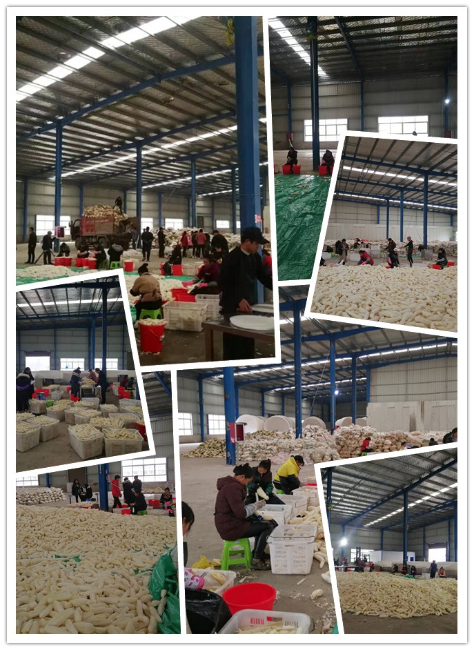 首页- 人生就是博中国官方网站