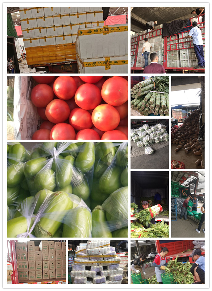 首页- 人生就是博中国官方网站