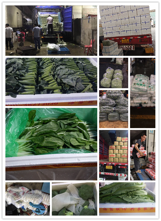 首页- 人生就是博中国官方网站