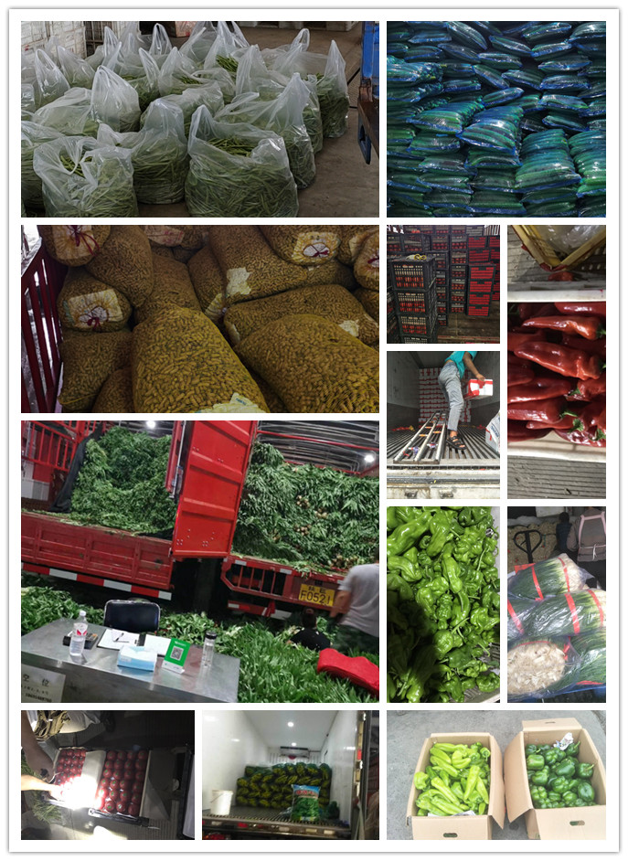 首页- 人生就是博中国官方网站