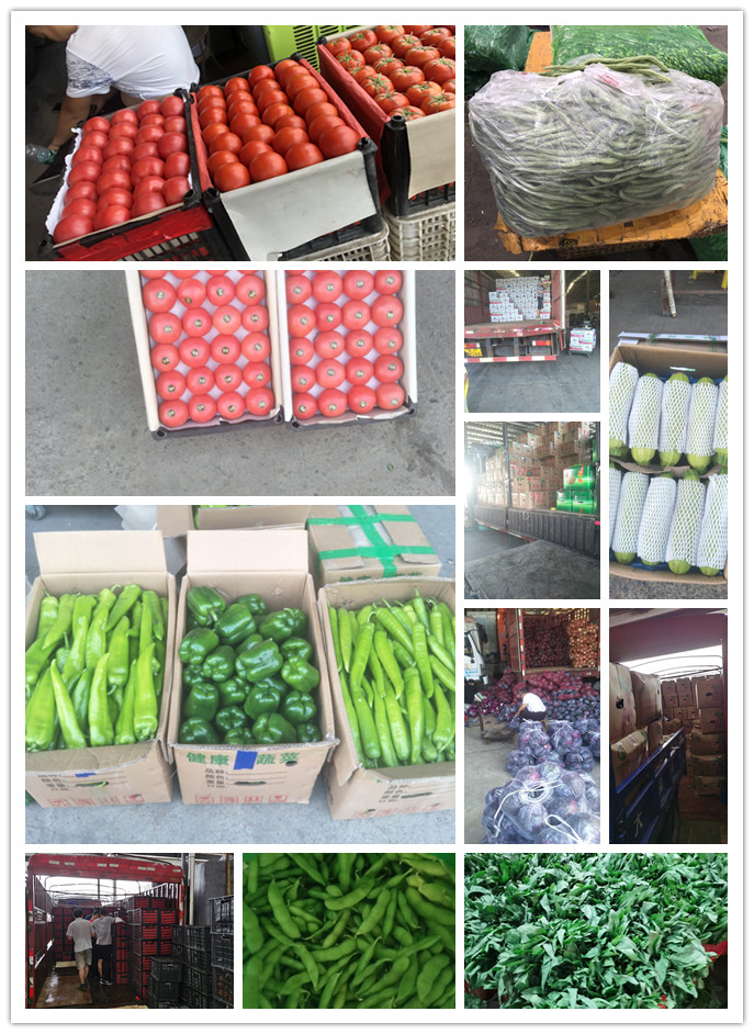 首页- 人生就是博中国官方网站