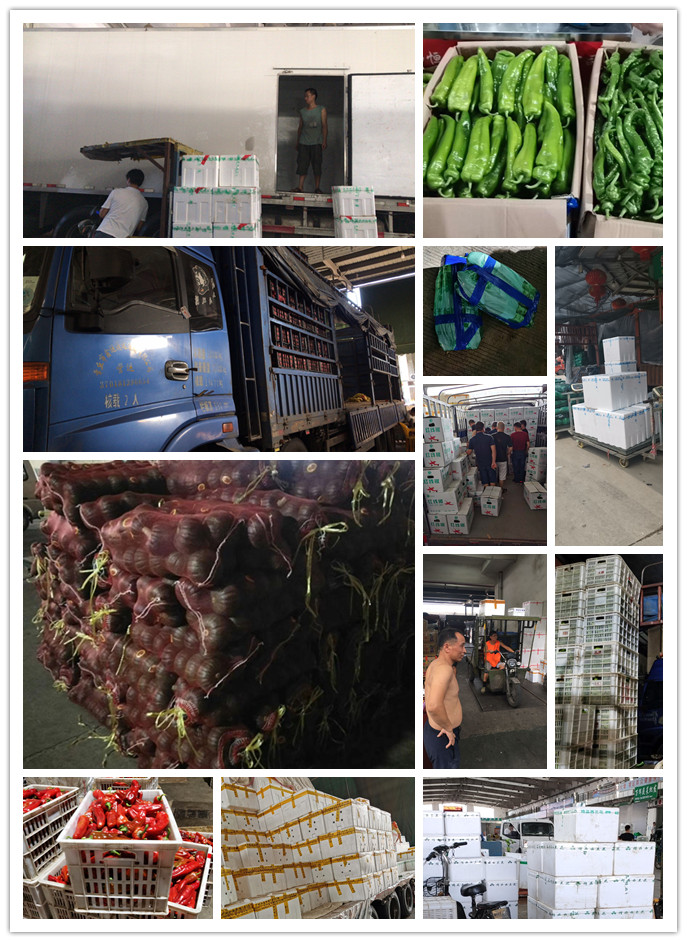 首页- 人生就是博中国官方网站