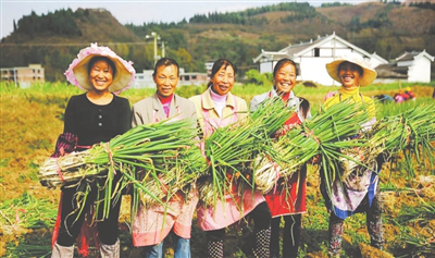 首页- 人生就是博中国官方网站