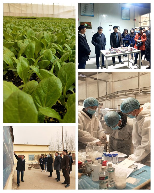 首页- 人生就是博中国官方网站