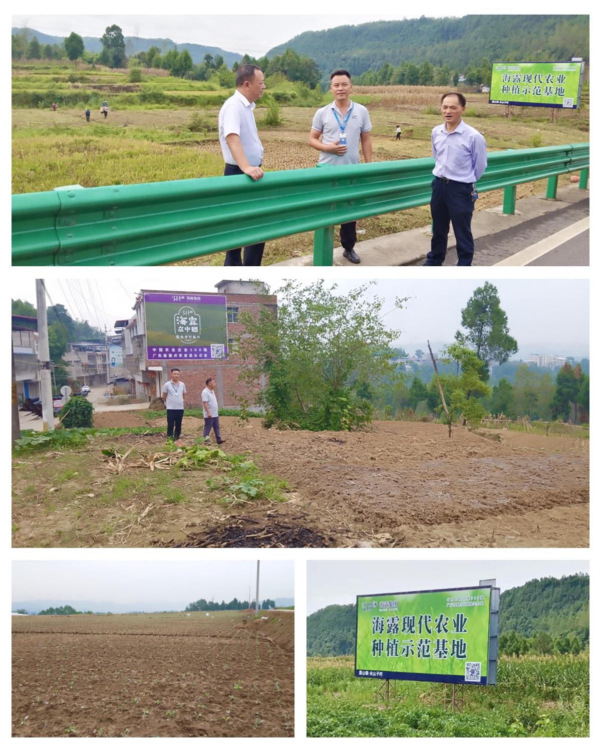 首页- 人生就是博中国官方网站