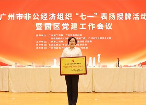标杆引领，荣誉升级！集团党支部荣膺广州市非公有造经济组织“双强六好”标