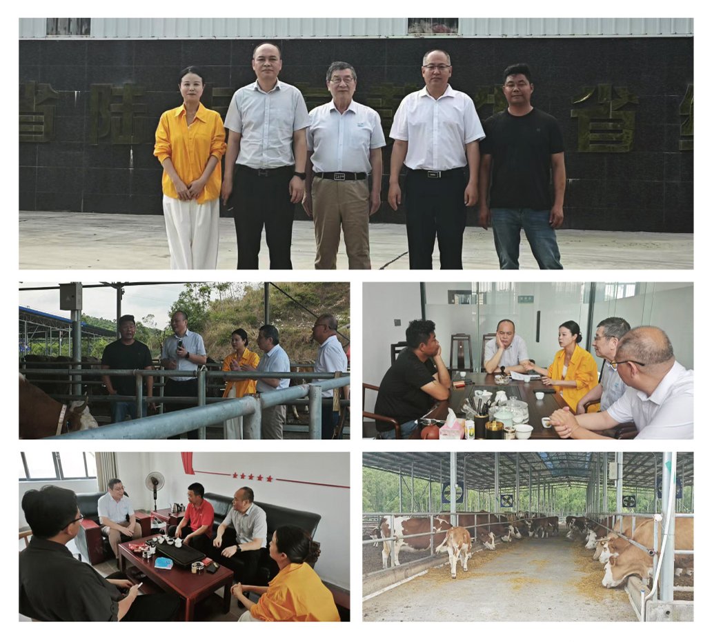 首页- 人生就是博中国官方网站