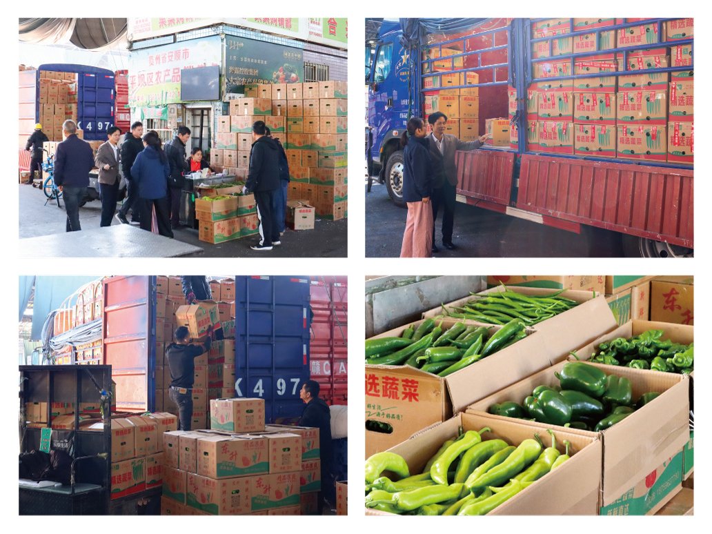 首页- 人生就是博中国官方网站